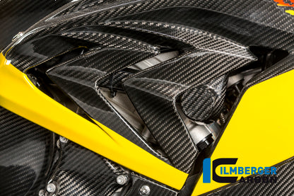 Ilmberger Carbon Crashpad on the Frame, Right Carbon for the BMW S 1000 RR Stocksport / Racing 2009-2025