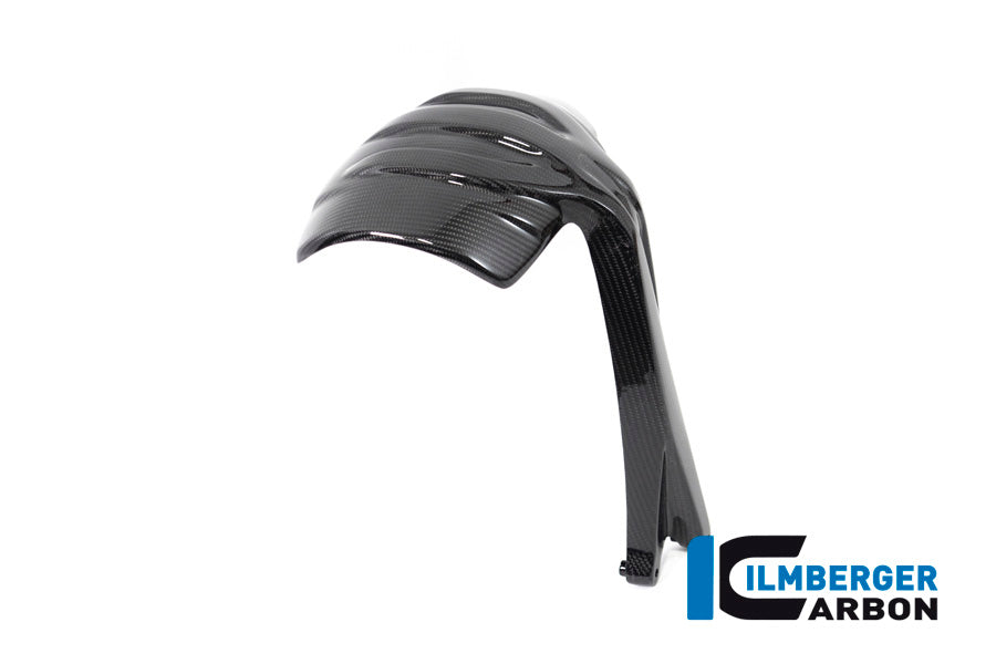 Ilmberger Carbon Rear Splash Guard for the BMW R 1250 GS / GS Adventure 2019