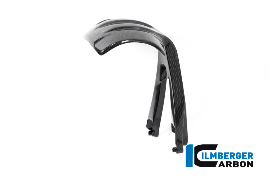 Ilmberger Carbon Rear Splash Guard for the BMW R 1250 GS / GS Adventure 2019