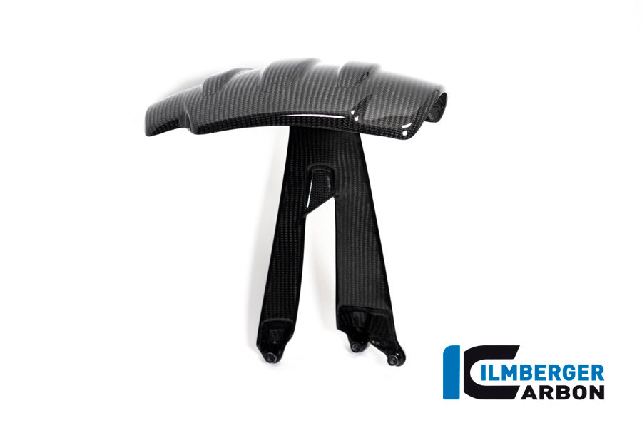 Ilmberger Carbon Rear Splash Guard for the BMW R 1250 GS / GS Adventure 2019