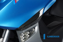 Ilmberger Carbon Front Crashpad for the BMW C600 Sport '12-24
