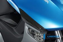 Ilmberger Carbon Front Crashpad for the BMW C600 Sport '12-24