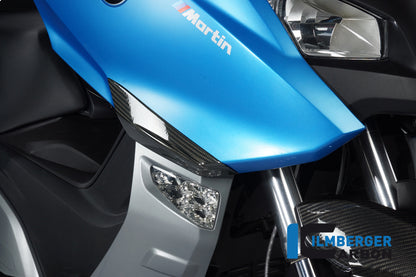 Ilmberger Carbon Front Crashpad for the BMW C600 Sport '12-24