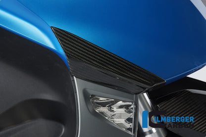 Ilmberger Carbon Front Crashpad for the BMW C600 Sport '12-24