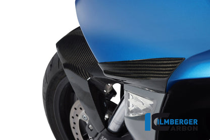 Ilmberger Carbon Front Crashpad for the BMW C600 Sport '12-24