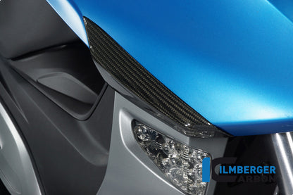 Ilmberger Carbon Front Crashpad for the BMW C600 Sport '12-24
