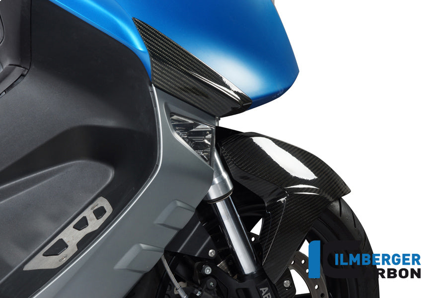 Ilmberger Carbon Front Crashpad for the BMW C600 Sport '12-24