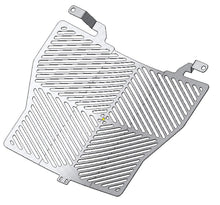 R&G Racing Stainless Steel Radiator Guard for BMW S1000XR '15-'19