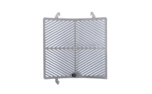 R&G Racing Stainless Steel Radiator Guard for Triumph Street Triple 765 RS / R / S '17-'22
