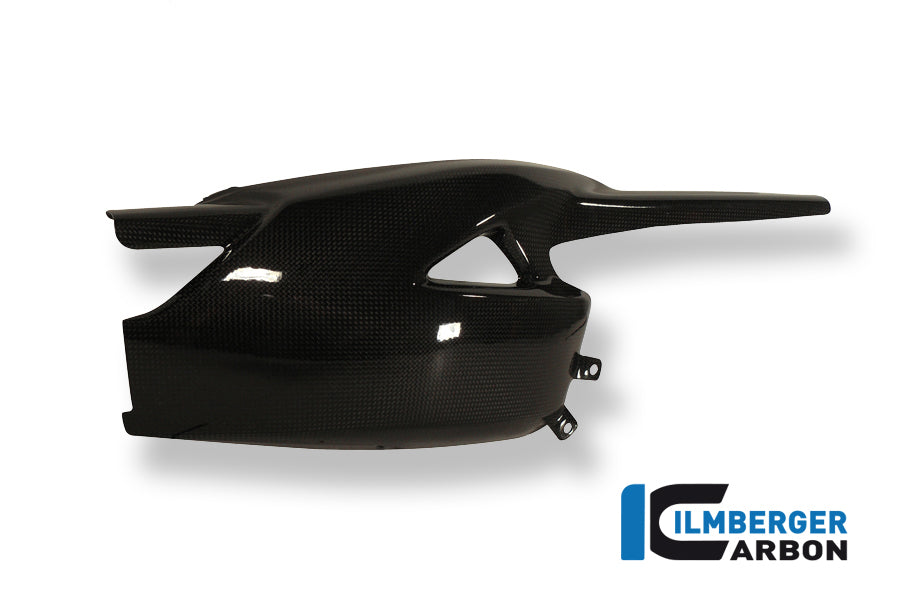 Ilmberger Carbon Swing Arm Cover for the Triumph Speed Triple '11-25