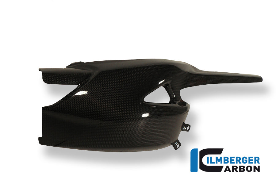 Ilmberger Carbon Swing Arm Cover for the Triumph Speed Triple '11-25