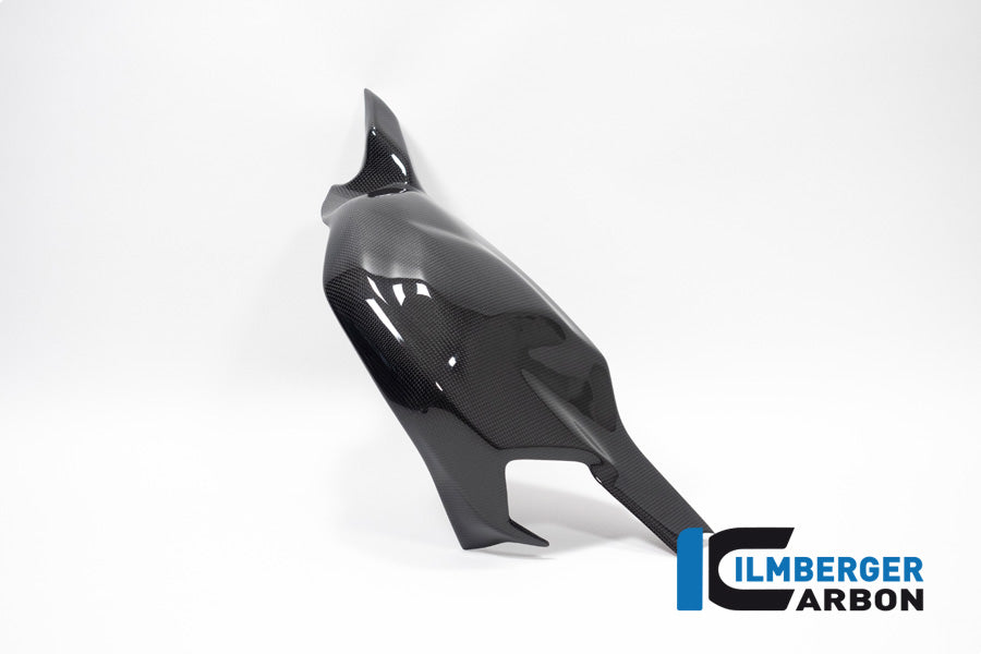 Ilmberger Carbon Swing Arm Cover for the Ducati Panigale V4,V4 R ,V4 S Racing '22