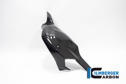 Ilmberger Carbon Swing Arm Cover for the Ducati Panigale V4,V4 R ,V4 S Racing '22