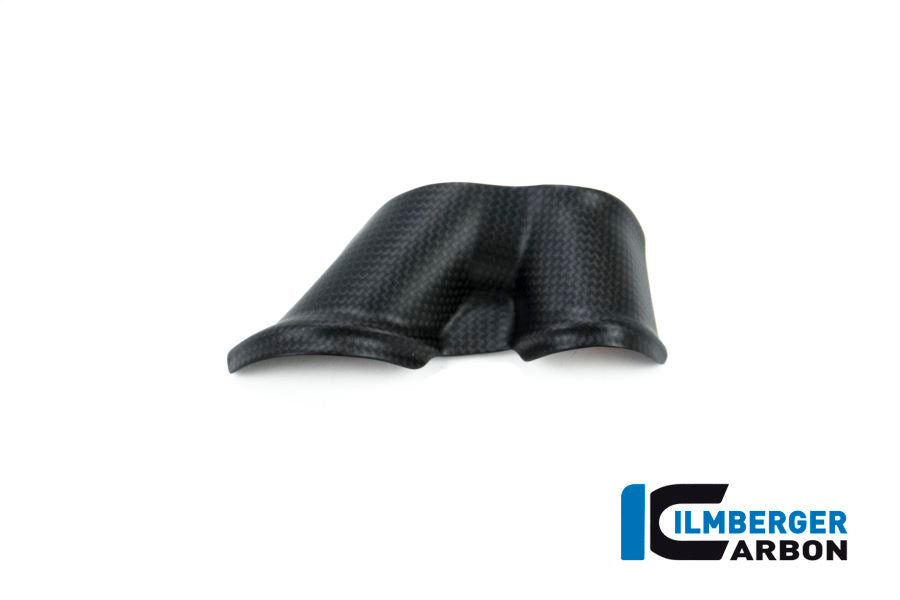 Ilmberger Carbon Swing Arm Cover Set 2-Parts for the Ducati XDiavel/XDiavel S '16-18 3TLG