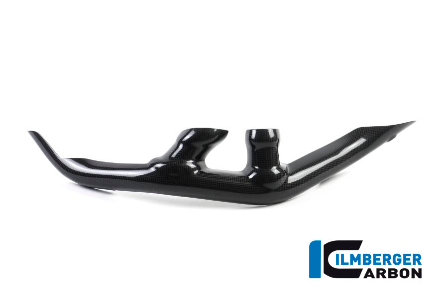 Ilmberger Carbon Swing Arm Cover Set 2-Parts for the Ducati XDiavel/XDiavel S '16-18 3TLG