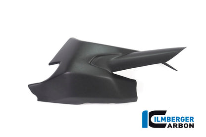 Ilmberger Carbon Swing Arm Cover for the Ducati Monster 1200S '17, Supersport '17-22