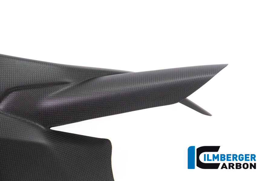 Ilmberger Carbon Swing Arm Cover for the Ducati Monster 1200S '17, Supersport '17-22