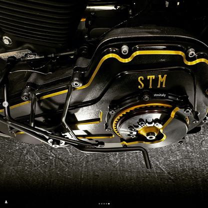 STM Dry Clutch Conversion Kit for the Harley Davidson Milwaukee-Eight Engine (all models)