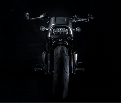 Zard Carbon Fiber Headlight Fairing Kit for Harley Davidson Sportster S 1250