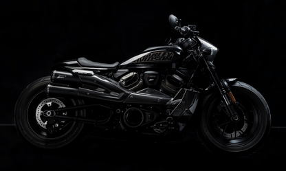 Zard Carbon Fiber Radiator Covers and Side Panel Kit for Harley Davidson Sportster S 1250