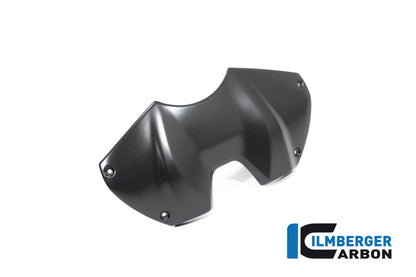 Ilmberger Carbon Tank Panel Front for the Ducati Panigale V4,V4 R,V4 S '22