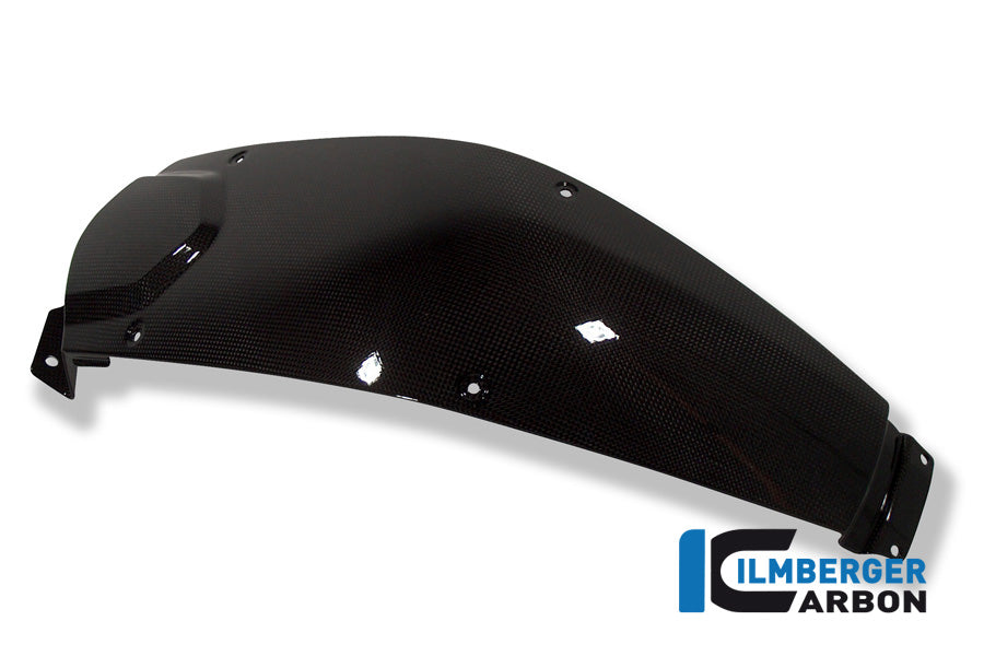 Ilmberger Carbon Tank Center Panel for the BMW F 800 R '09-15, F 800 S/ST '06-24, F 800 GT '12-24