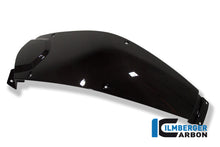 Ilmberger Carbon Tank Center Panel for the BMW F 800 R '09-15, F 800 S/ST '06-24, F 800 GT '12-24