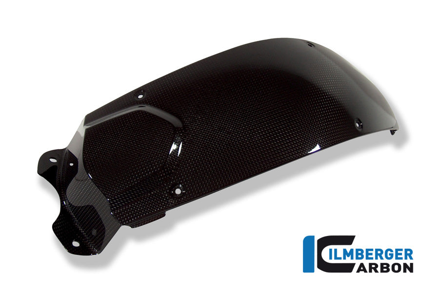 Ilmberger Carbon Tank Center Panel for the BMW F 800 R '09-15, F 800 S/ST '06-24, F 800 GT '12-24