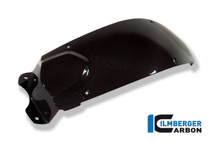 Ilmberger Carbon Tank Center Panel for the BMW F 800 R '09-15, F 800 S/ST '06-24, F 800 GT '12-24