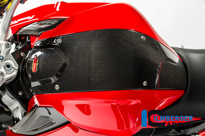 Ilmberger Carbon Tank Center Panel for the BMW F 800 R '09-15, F 800 S/ST '06-24, F 800 GT '12-24