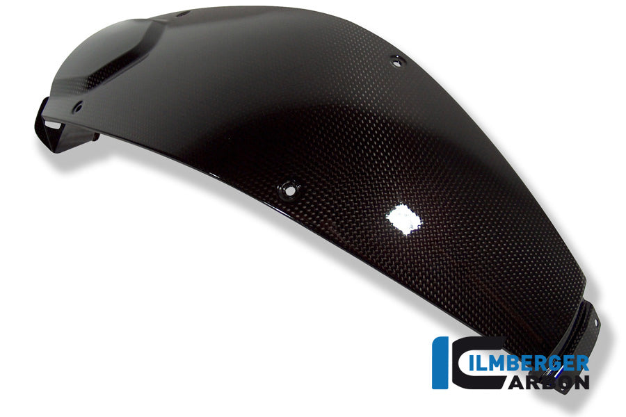 Ilmberger Carbon Tank Center Panel for the BMW F 800 R '09-15, F 800 S/ST '06-24, F 800 GT '12-24
