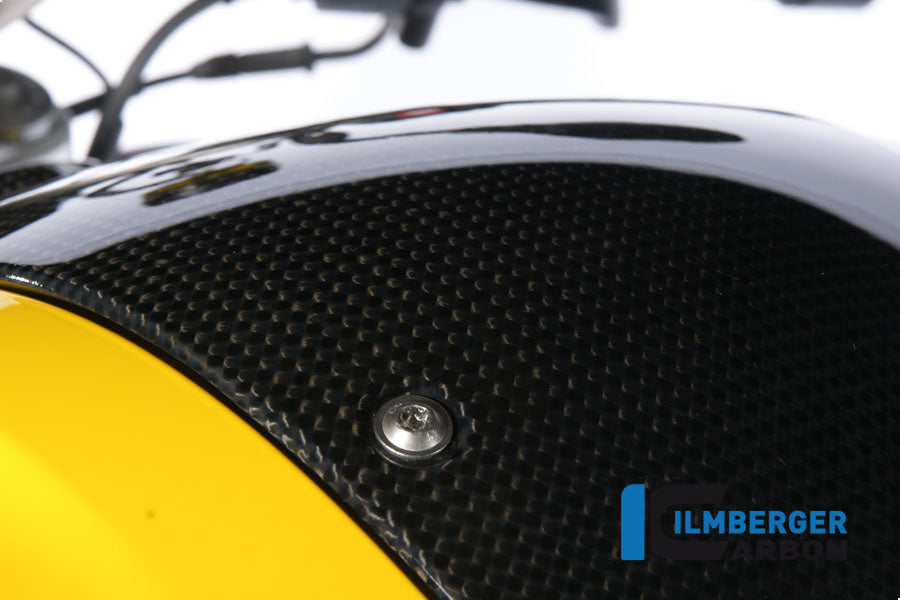 Ilmberger Carbon Tank Center Panel for the BMW F 800 R '09-15, F 800 S/ST '06-24, F 800 GT '12-24