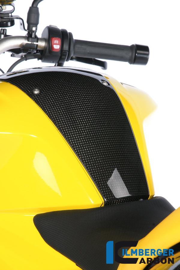 Ilmberger Carbon Tank Center Panel for the BMW F 800 R '09-15, F 800 S/ST '06-24, F 800 GT '12-24