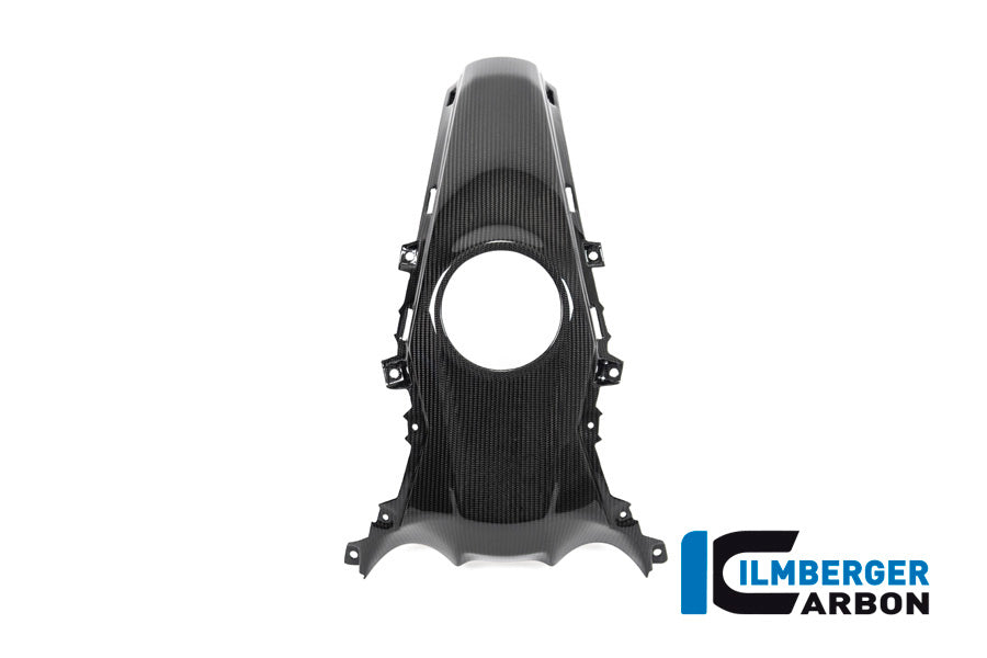 Ilmberger Carbon Tank Centre Panel for the BMW R 1250 R/RS 2019