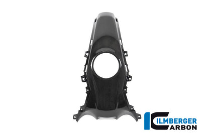Ilmberger Carbon Tank Centre Panel for the BMW R 1250 R/RS 2019