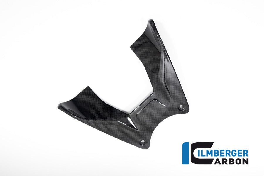 Ilmberger Carbon Tank Cover for the Ducati Diavel V4 2023