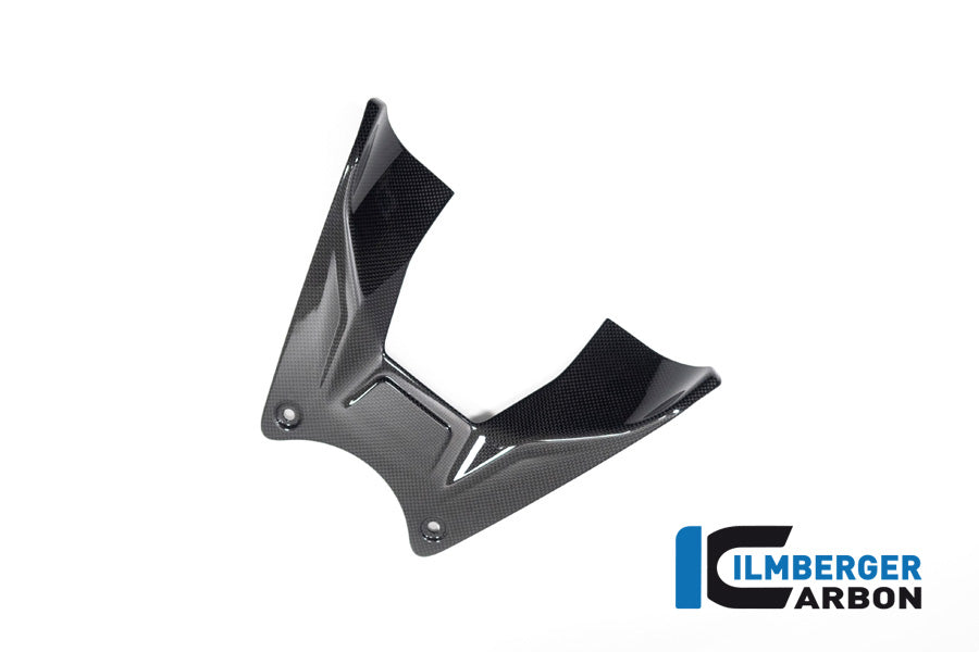 Ilmberger Carbon Tank Cover for the Ducati Diavel V4 2023