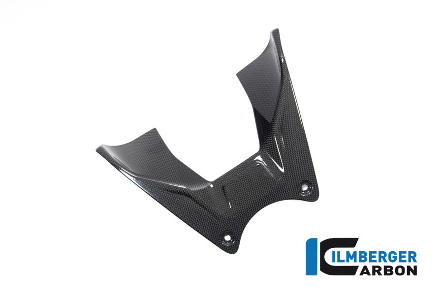Ilmberger Carbon Tank Cover for the Ducati Diavel V4 2023