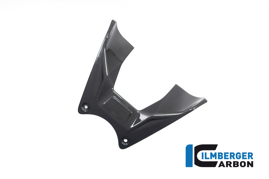 Ilmberger Carbon Tank Cover for the Ducati Diavel V4 2023