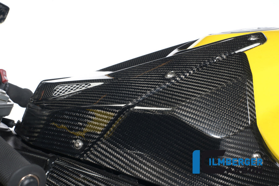 Ilmberger Carbon Upper Tank Cover, Carbon for the BMW S 1000 RR Stocksport / Racing 2009-2014