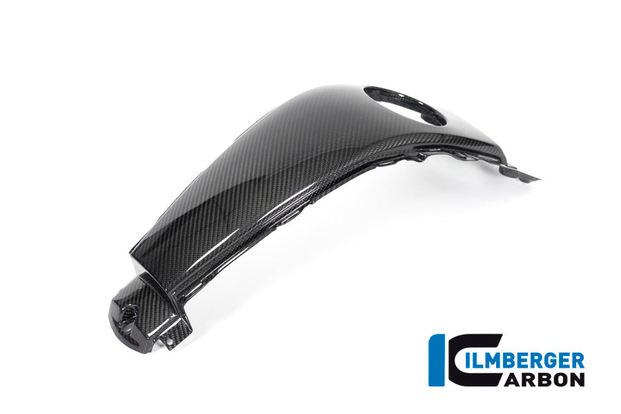 Ilmberger Carbon Tank Centre Panel for the BMW K 1600 GT / K 1600 GTL / K 1600 Bagger '17-24, F 800 R '09-14, F 800 S/ST '06-24, F 800 GT '12-24