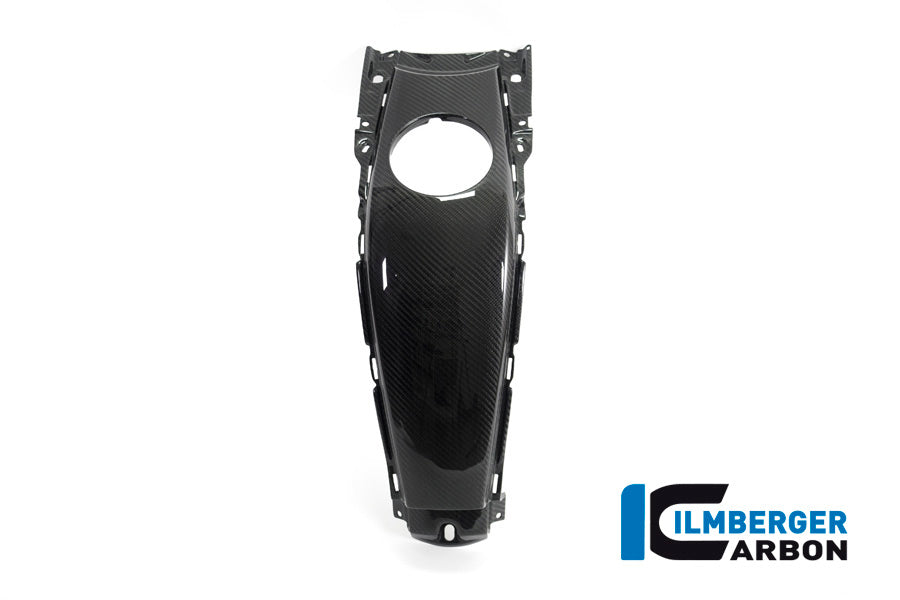 Ilmberger Carbon Tank Centre Panel for the BMW K 1600 GT / K 1600 GTL / K 1600 Bagger '17-24, F 800 R '09-14, F 800 S/ST '06-24, F 800 GT '12-24