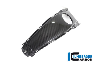 Ilmberger Carbon Tank Centre Panel for the BMW K 1600 GT / K 1600 GTL / K 1600 Bagger '17-24, F 800 R '09-14, F 800 S/ST '06-24, F 800 GT '12-24