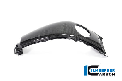 Ilmberger Carbon Tank Centre Panel for the BMW K 1600 GT / K 1600 GTL / K 1600 Bagger '17-24, F 800 R '09-14, F 800 S/ST '06-24, F 800 GT '12-24