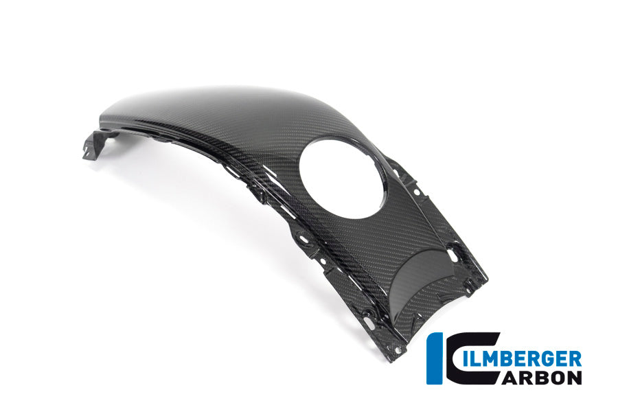 Ilmberger Carbon Tank Centre Panel for the BMW K 1600 GT / K 1600 GTL / K 1600 Bagger '17-24, F 800 R '09-14, F 800 S/ST '06-24, F 800 GT '12-24