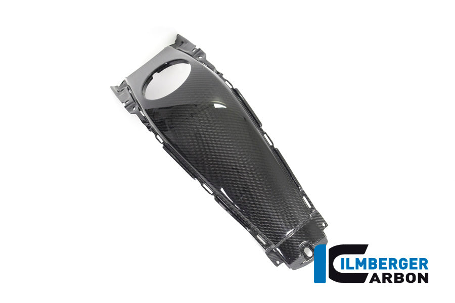 Ilmberger Carbon Tank Centre Panel for the BMW K 1600 GT / K 1600 GTL / K 1600 Bagger '17-24, F 800 R '09-14, F 800 S/ST '06-24, F 800 GT '12-24
