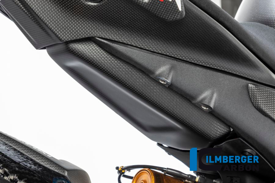 Ilmberger Carbon Tank Protection for the Ducati Panigale V4 / V4 S '20-22 / V4 R Racing '18-21