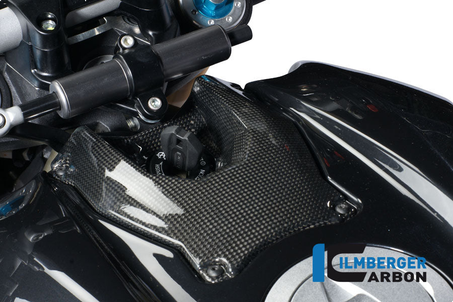 Ilmberger Carbon Ignition Switch Cover Carbon for the Ducati Streetfighter 1100 '09 / Streetfighter 848 '12
