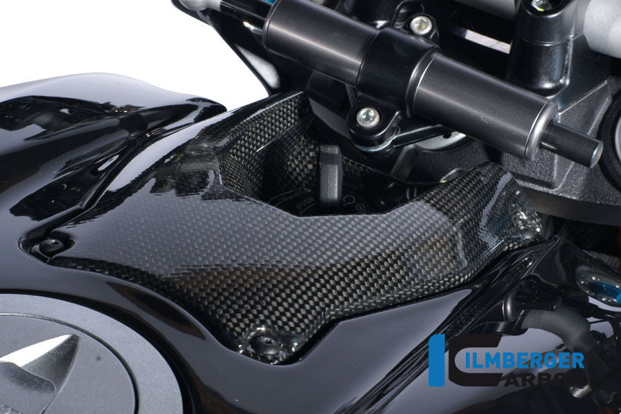 Ilmberger Carbon Ignition Switch Cover Carbon for the Ducati Streetfighter 1100 '09 / Streetfighter 848 '12