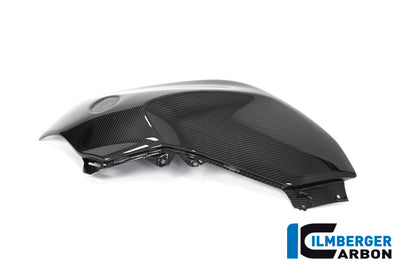 Ilmberger Carbon Tank Panel, Left for the BMW R 1250 R 2019